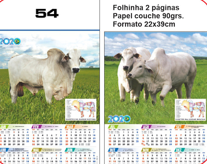 FOLHINHA ANUAL MODELO 54 — brinde personalizado da Cátia Brindes